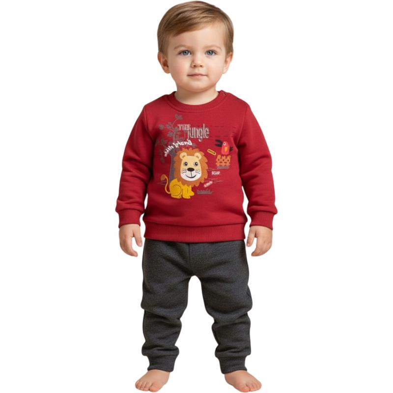 2366-3  Çocuk giyim seti toptan (baskılı sweatshirt ve pantolon) 6-9-12-18 aylık erkek çocuklar için