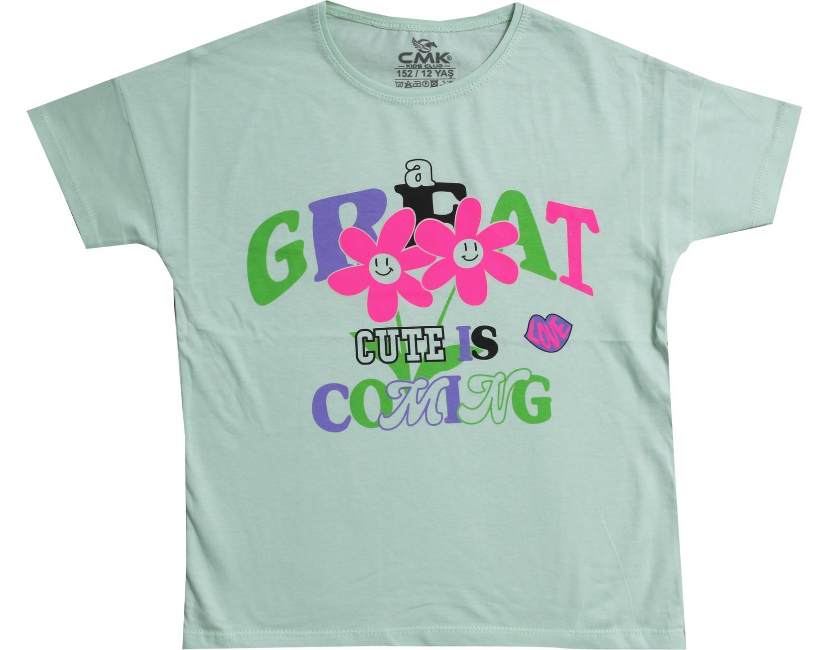 110055 تي شيرت بناتي بالجملة 8-9-10-11-12 سن