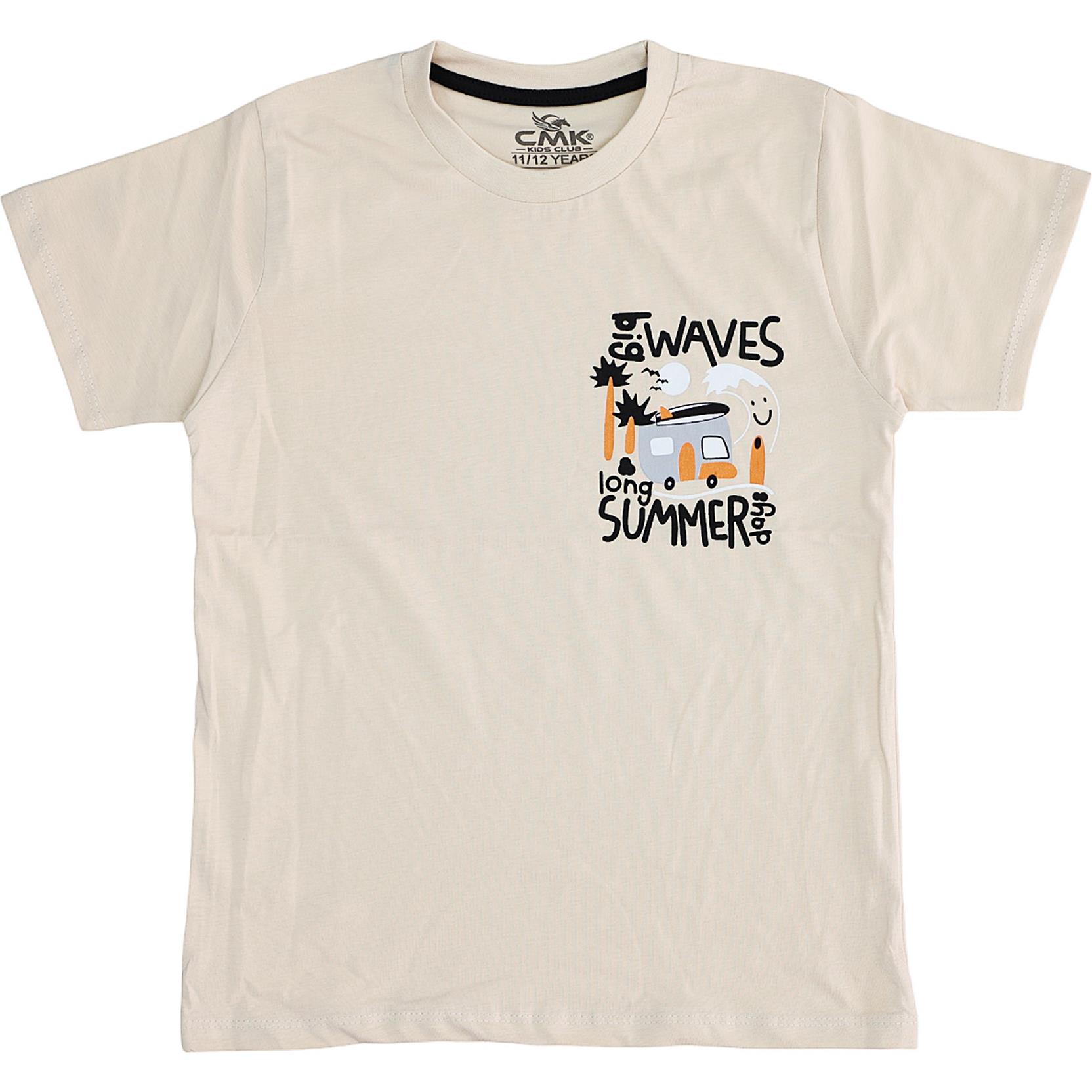 1800015 wholesale children's summer T-shirts for boys for 3/12 years