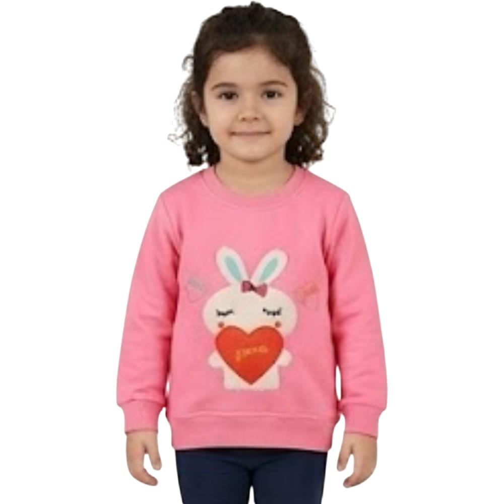 407 toptan 2-5 yaş arası kız çocuklar için çocuk mevsimlik tavşan nakışlı sweatshirt