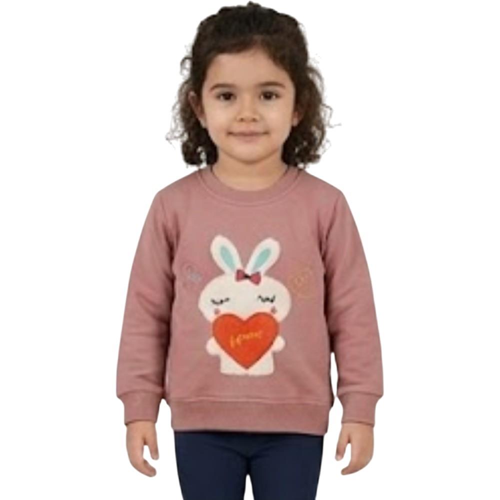 407 toptan 2-5 yaş arası kız çocuklar için çocuk mevsimlik tavşan nakışlı sweatshirt