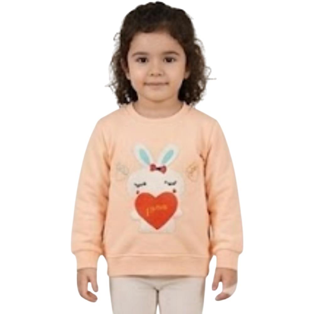 407 toptan 2-5 yaş arası kız çocuklar için çocuk mevsimlik tavşan nakışlı sweatshirt