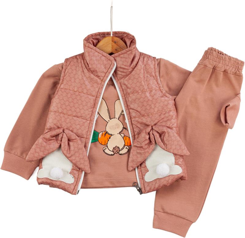 50610 kışlık lüks kız bebek giyim toptan 6/24 ay