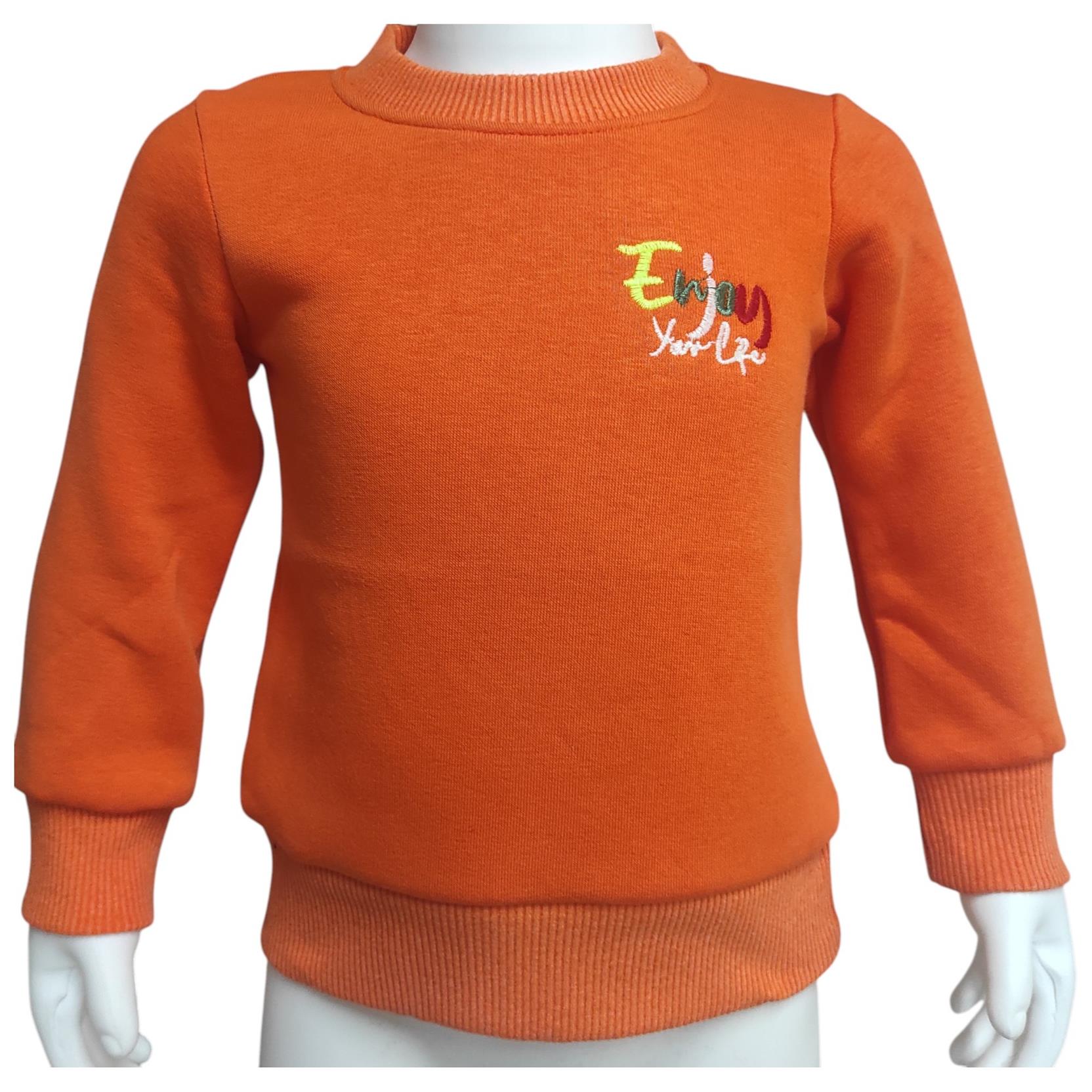 544 الجملة الأطفال الشتاء بلوزات ، الصوف هوديس مع يطبع مختلفة للبنين 1/4 سنة