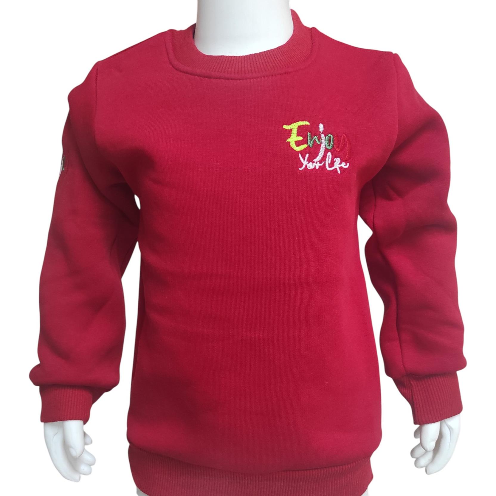 544 الجملة الأطفال الشتاء بلوزات ، الصوف هوديس مع يطبع مختلفة للبنين 1/4 سنة