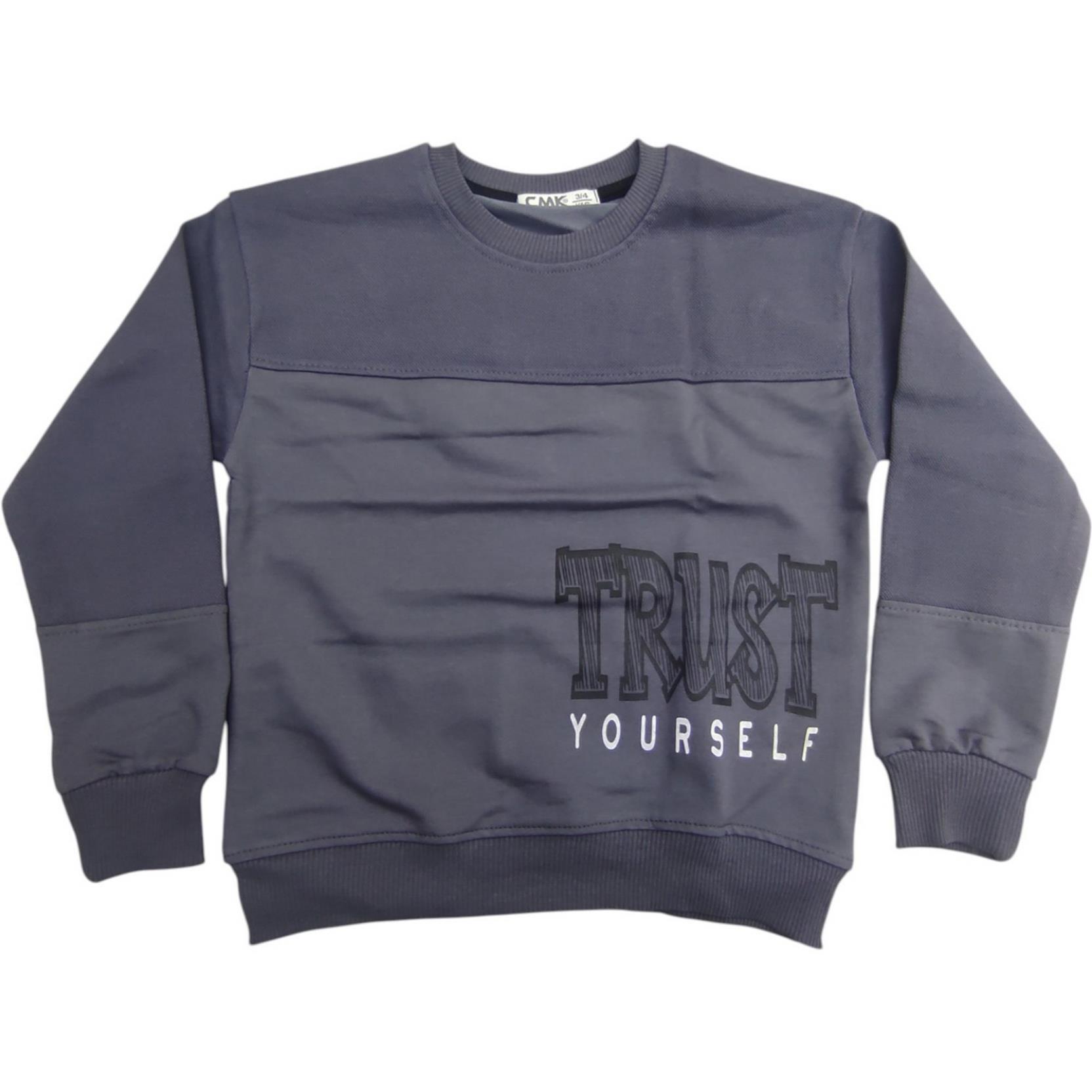 50035 оптом детские демисезонные кофты,толстовки для мальчиков на 3/12 лет