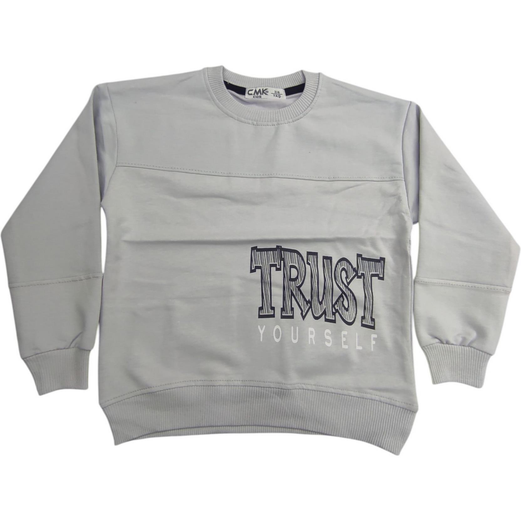 50035 оптом детские демисезонные кофты,толстовки для мальчиков на 3/12 лет