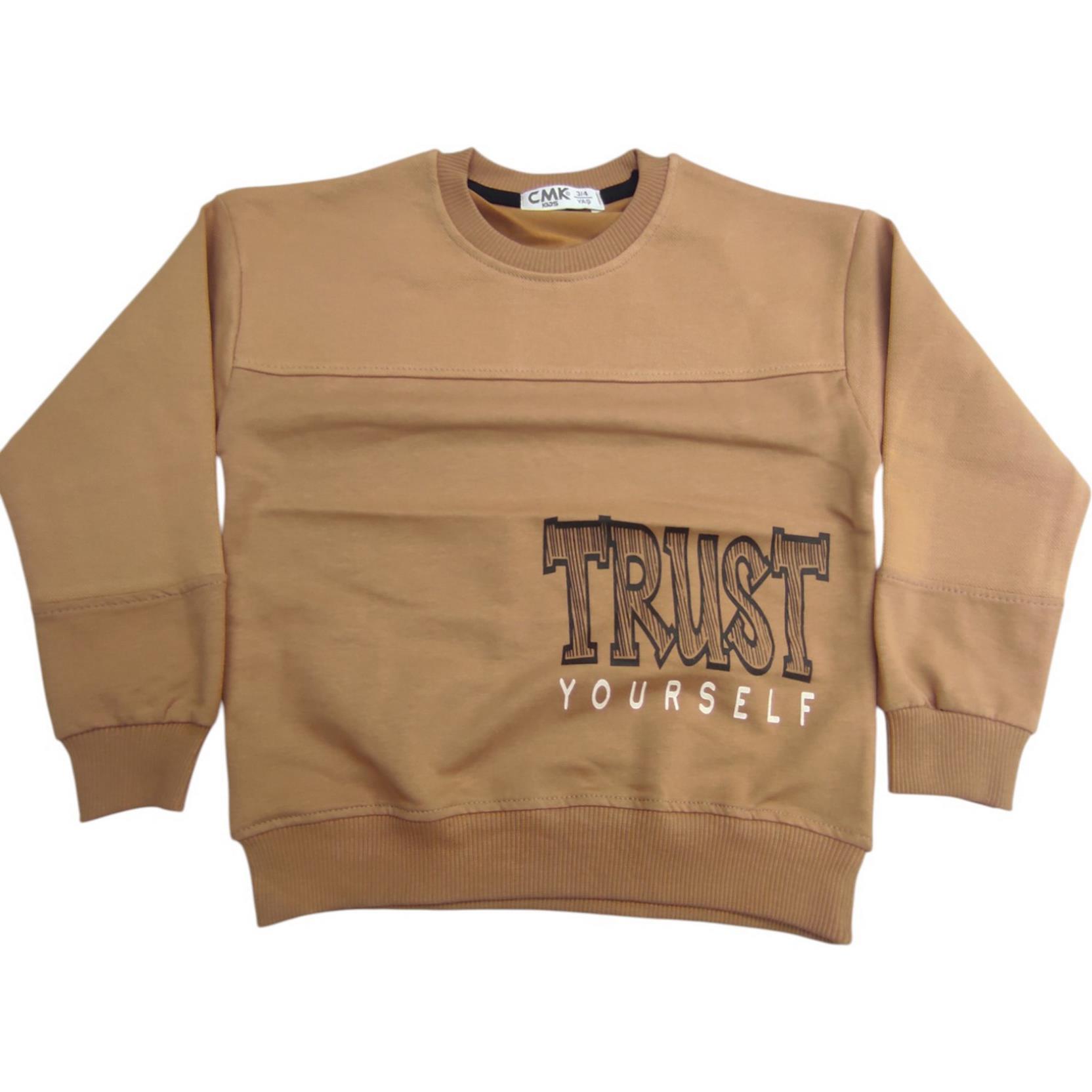 50035 оптом детские демисезонные кофты,толстовки для мальчиков на 3/12 лет