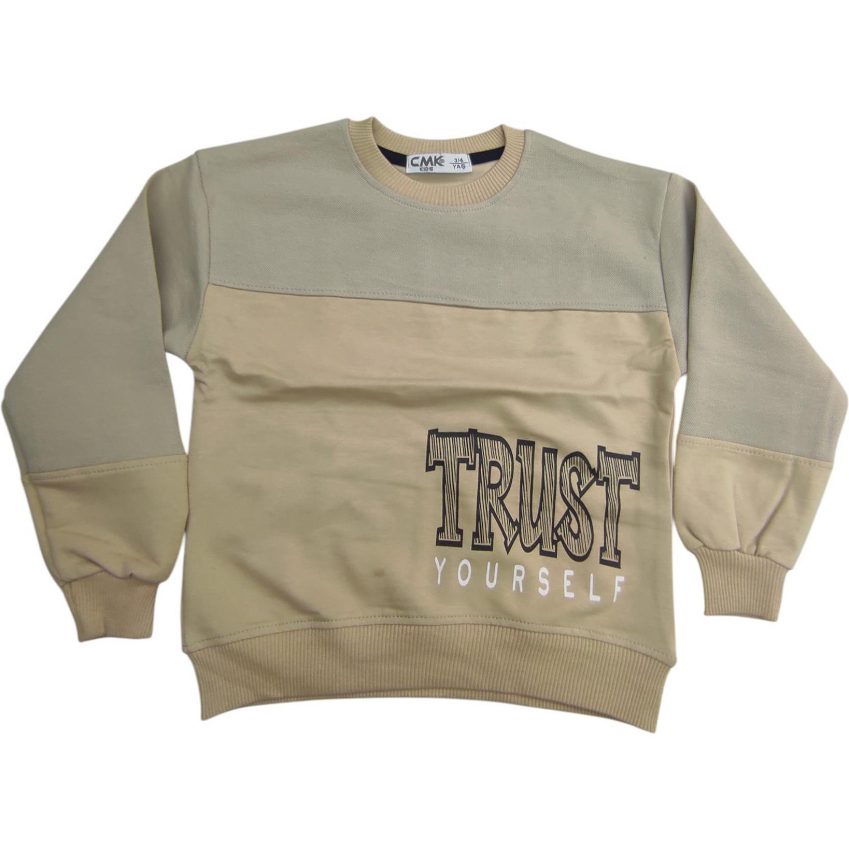 50035 оптом детские демисезонные кофты,толстовки для мальчиков на 3/12 лет