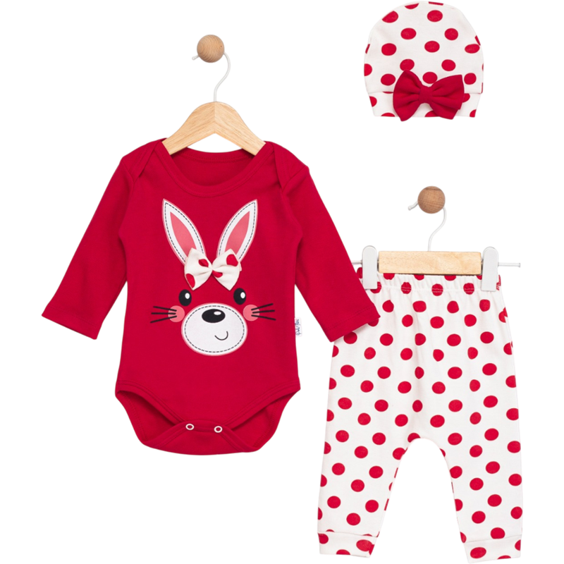 1700  toptan 6-9 aylık bebekler için pantolonlu ve şapkalı mevsimlik tavşan desenli bebek çıtçıtlı badi seti