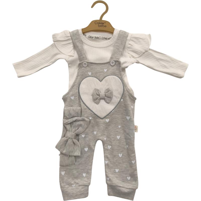 8025 Wholesale Seasonal T-shirt and Overalls Set for Girls Months 6-18 Months