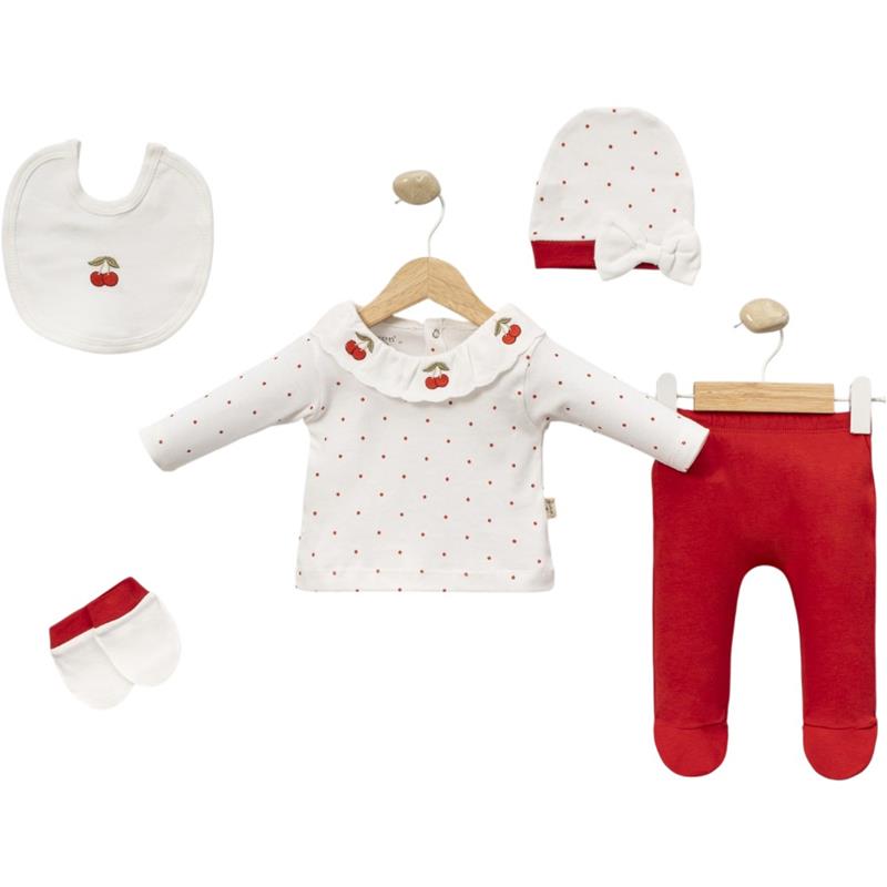 2089 toptan 3-6 aylık bebekler için 5 parçalı lux vişne desenli zıbın setleri