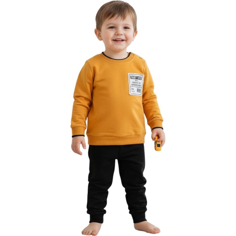 2488 toptan 9/24 aylık erkek çocuklar için  mevsimlik iki parçalı çocuk takım elbise