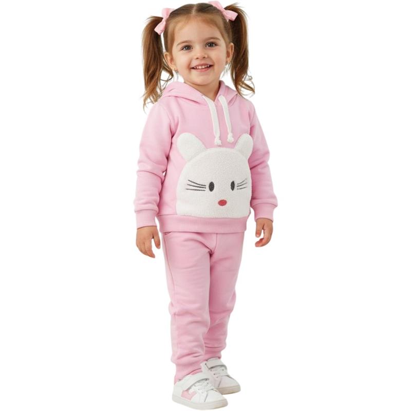 52489 toptan 9/24 aylık kız çocuklar için kedi nakışlı mevsimlik ikili çocuk takım 