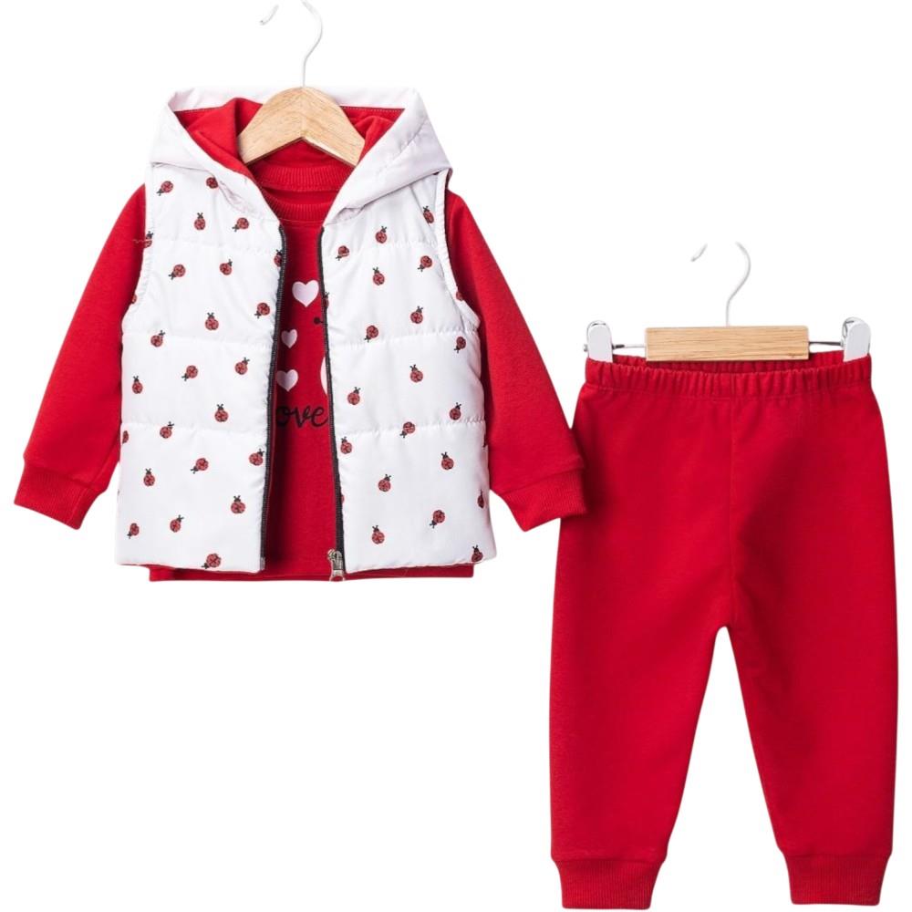 25441 оптом детские демисезонные костюмы тройки с жилетом для девочек на 9/24 месяцев