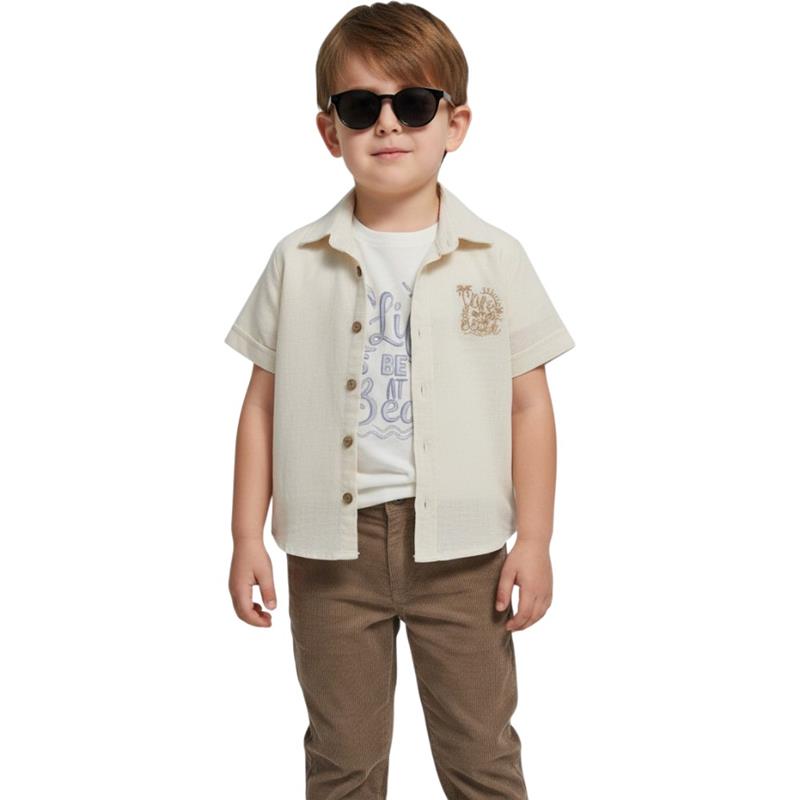 2920 wholesale children's summer three-piece suits, shirts, T-shirts with trousers for boys 2-5 years old