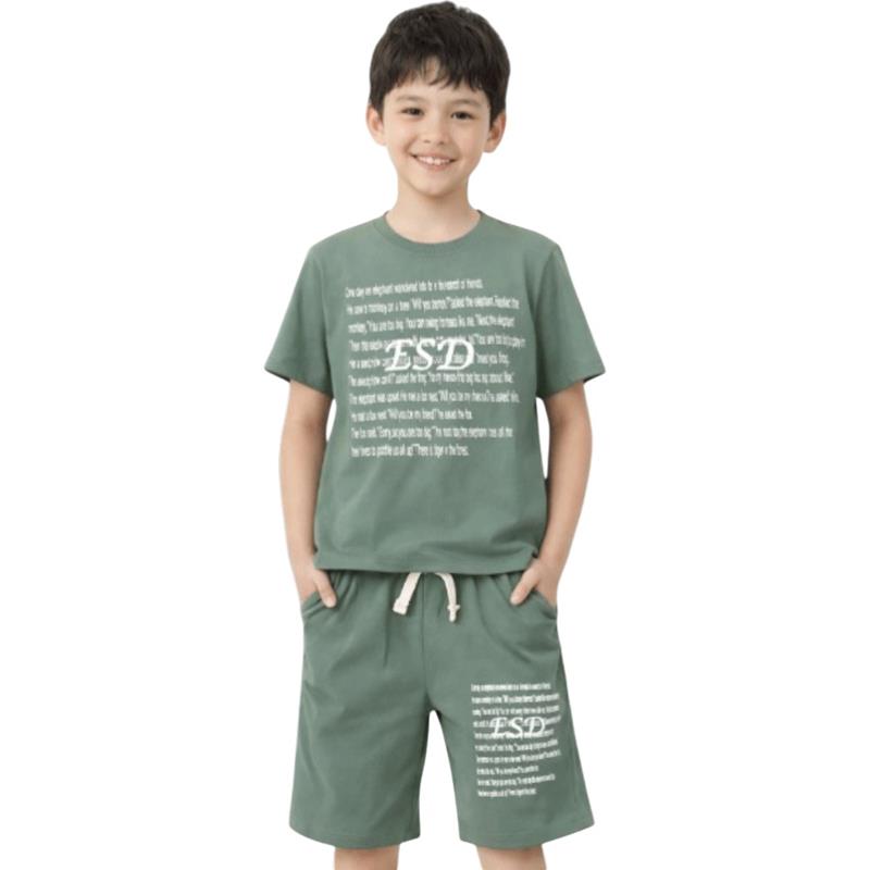 4621 toptan 6-9 yaş arası erkek çocuklar için ESD baskılı tişört ve şort yazlık iki parçalı takım 