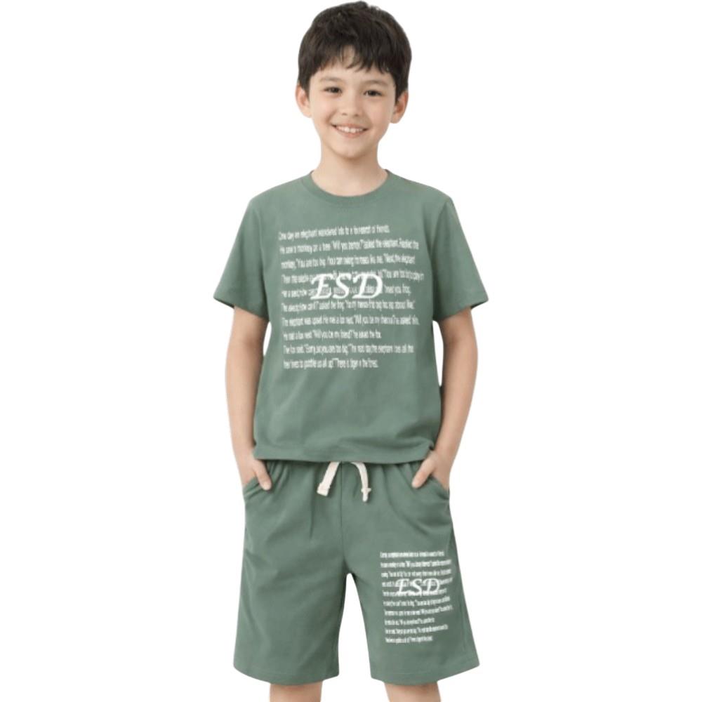 4621 оптом детские летние костюмы двойки,футболки с принтом ESD и шортами для мальчиков на 6/9 лет
