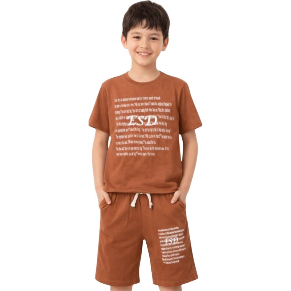 4621 оптом детские летние костюмы двойки,футболки с принтом ESD и шортами для мальчиков на 6/9 лет