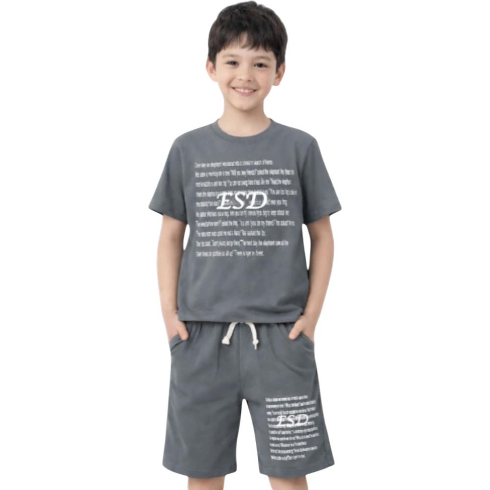 4621 оптом детские летние костюмы двойки,футболки с принтом ESD и шортами для мальчиков на 6/9 лет