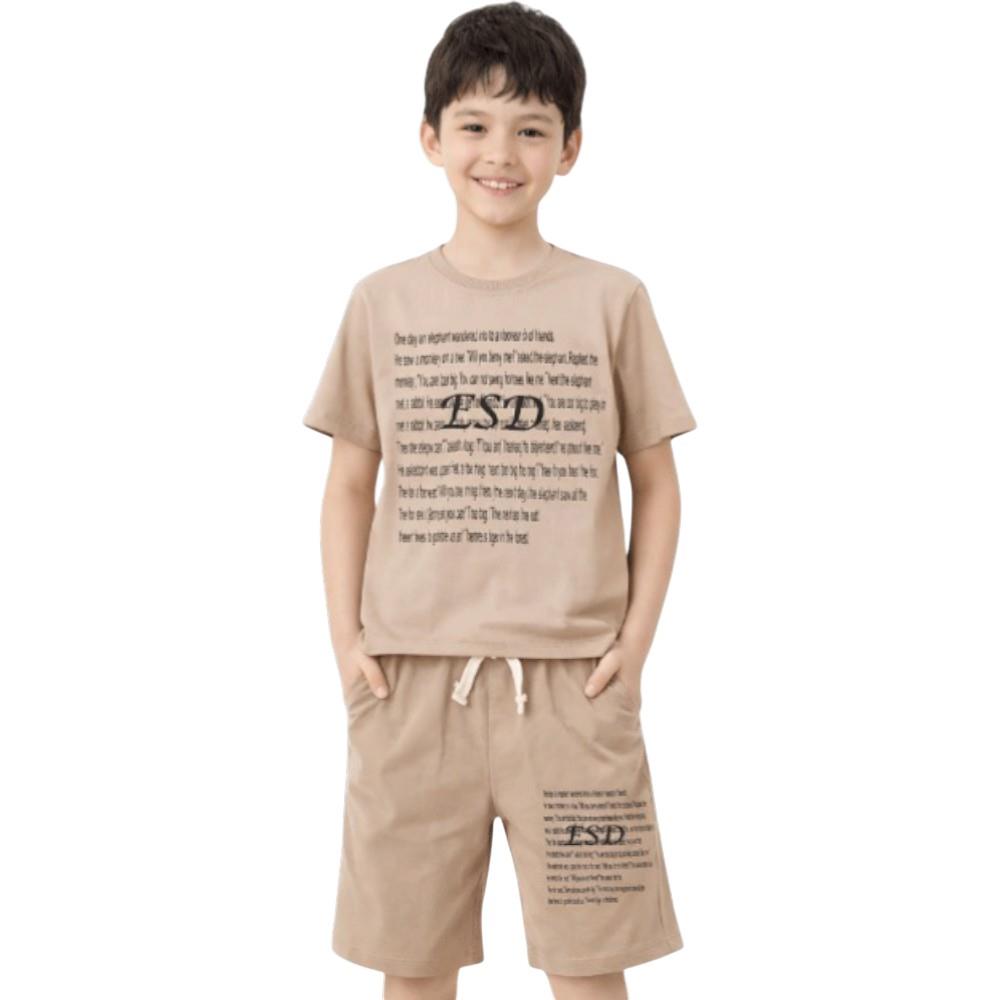 4621 оптом детские летние костюмы двойки,футболки с принтом ESD и шортами для мальчиков на 6/9 лет