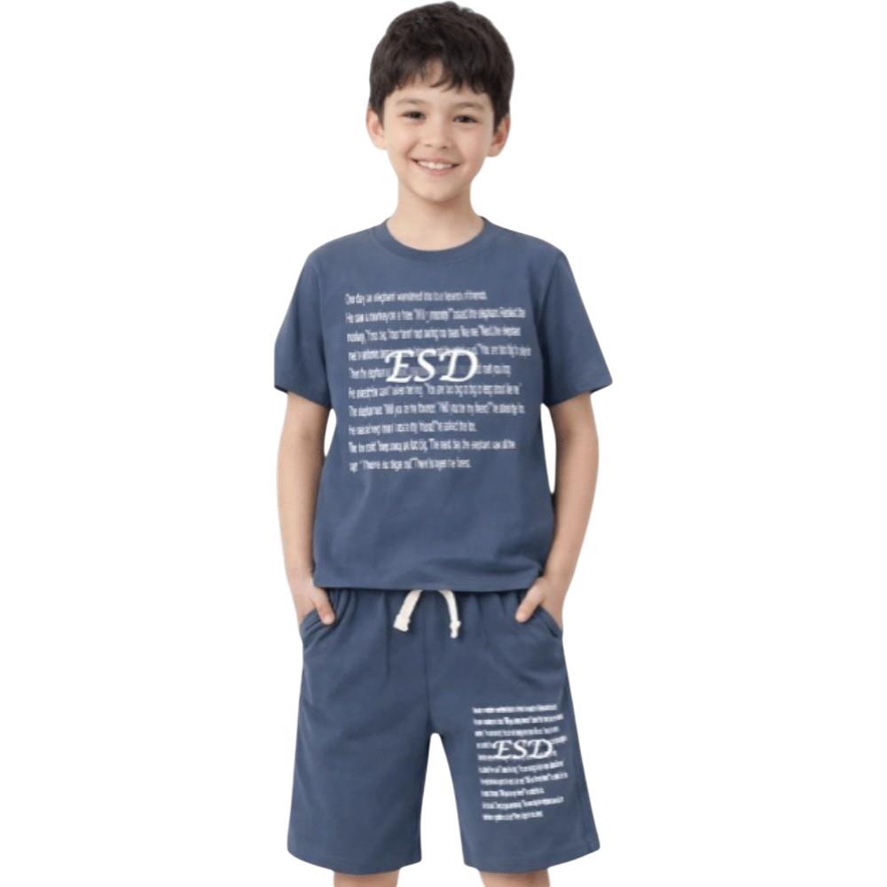 4621 оптом детские летние костюмы двойки,футболки с принтом ESD и шортами для мальчиков на 6/9 лет