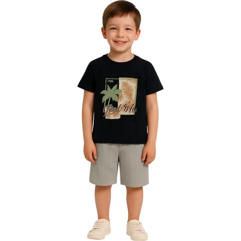80115 Оптовая продажа летнего комплекта одежды из двух предметов для мальчиков 2-9 лет, включающего футболку и шорты